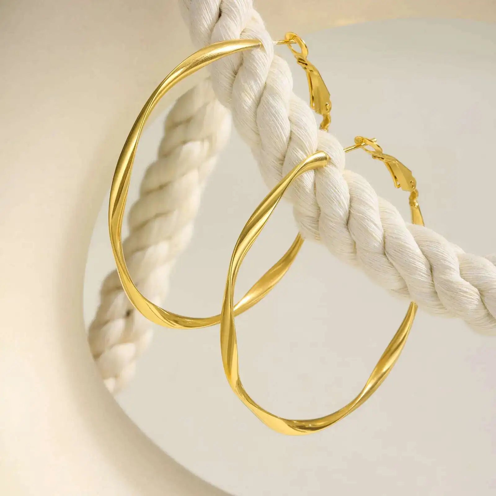 Twist Circle Stainless Steel Hoop Earrings