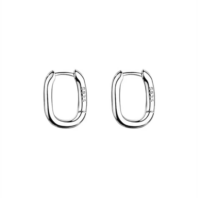 Bold Chunky Hoop Earrings – Stainless Steel Fashion