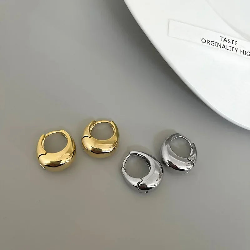 Chunky Stainless Steel Hoop Earrings – Women’s Statement Hoops