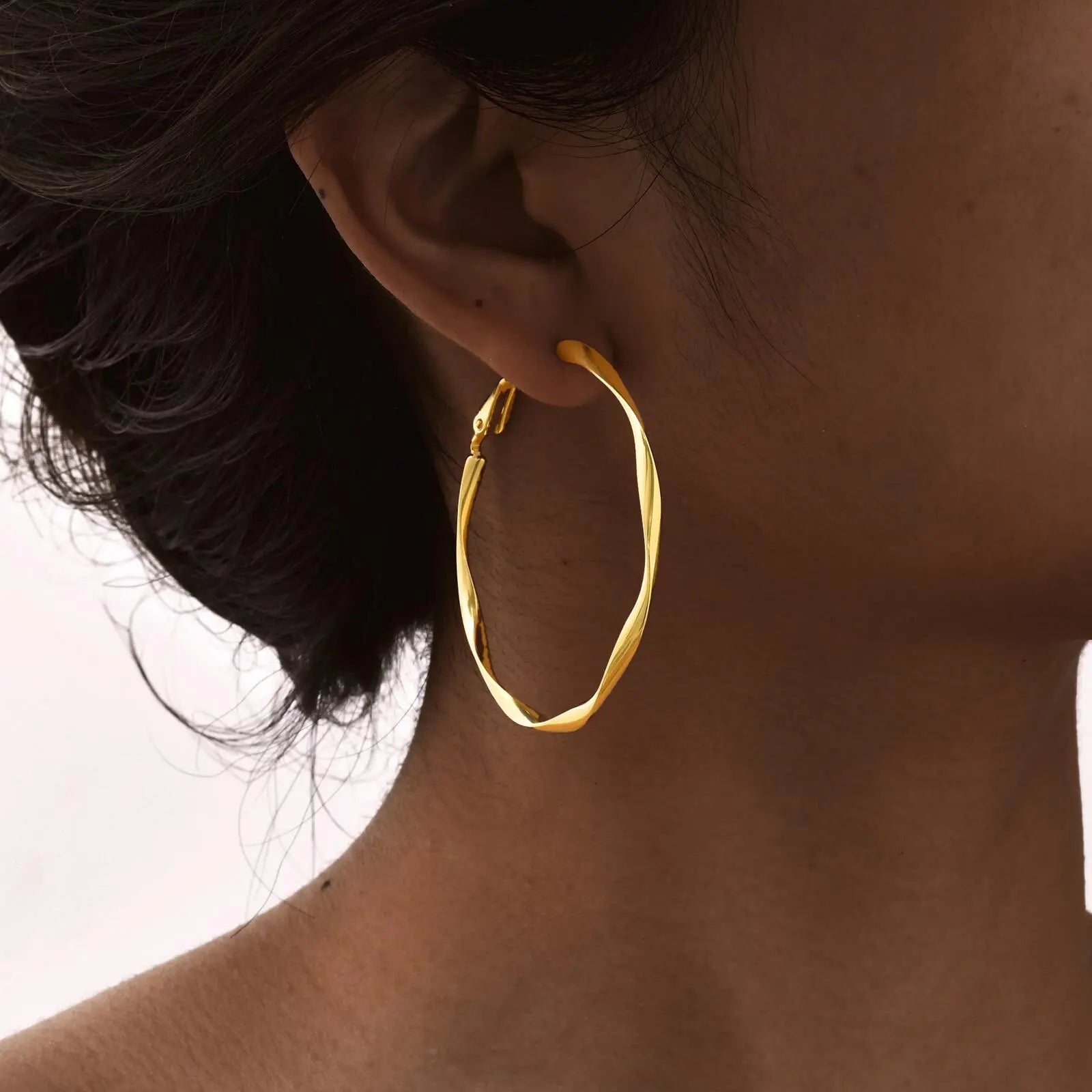 Twist Circle Stainless Steel Hoop Earrings